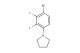 1-(4-bromo-2,3-difluorophenyl)pyrrolidine