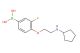 (4-(2-(cyclopentylamino)ethoxy)-3-fluorophenyl)boronic acid
