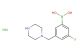 (3-fluoro-5-(piperazin-1-ylmethyl)phenyl)boronic acid hydrochloride