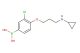 (3-chloro-4-(3-(cyclopropylamino)propoxy)phenyl)boronic acid