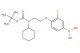 (4-(2-((tert-butoxycarbonyl)(cyclohexyl)amino)ethoxy)-3-fluorophenyl)boronic acid