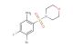 4-((5-bromo-4-fluoro-2-methylphenyl)sulfonyl)morpholine