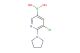 (5-chloro-6-(pyrrolidin-1-yl)pyridin-3-yl)boronic acid
