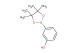 3-(4,4,5,5-tetramethyl-1,3,2-dioxaborolan-2-yl)phenol