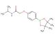 N-isopropyl-2-(4-(4,4,5,5-tetramethyl-1,3,2-dioxaborolan-2-yl)phenoxy)acetamide