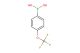 4-trifluoromethoxyphenylboronic acid
