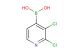 2,3-dichloropyridine-4-boronic acid