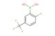2-fluoro-5-(trifluoromethyl)phenylboronic acid