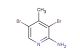 3,5-dibromo-4-methylpyridin-2-amine
