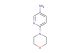 3-amino-6-morpholinopyridine