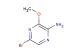 5-bromo-3-methoxypyrazin-2-amine