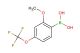(2-methoxy-4-(trifluoromethoxy)phenyl)boronic acid