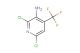 2,6-dichloro-4-(trifluoromethyl)pyridin-3-amine