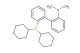 2-dicyclohexylphosphino-2'-(N,N-dimethylamino)biphenyl