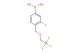 3-fluoro-4-((2,2,2-trifluoroethoxy)methyl)phenylboronic acid