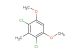 2,4-dichloro-1,5-dimethoxy-3-methylbenzene