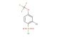 2-bromo-4-(trifluoromethoxy)benzene-1-sulfonyl chloride