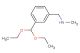 1-(3-(diethoxymethyl)phenyl)-N-methylmethanamine
