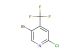 5-bromo-2-chloro-4-(trifluoromethyl)pyridine