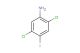 2,5-dichloro-4-iodoaniline