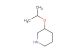 3-isopropoxy-piperidine