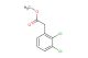 methyl 2,3-dichlorophenylacetate