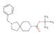 tert-butyl 2-benzyl-2,8-diazaspiro[4.5]decane-8-carboxylate