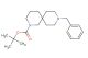 tert-butyl 9-benzyl-2,9-diazaspiro[5.5]undecane-2-carboxylate