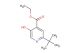 ethyl 2-(tert-butyl)-5-hydroxyisonicotinate