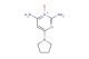 2,6-diamino-4-(pyrrolidin-1-yl)pyrimidine 1-oxide
