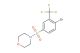 4-((4-bromo-3-(trifluoromethyl)phenyl)sulfonyl)morpholine