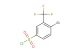 4-bromo-3-(trifluoromethyl)benzene-1-sulfonyl chloride