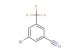 3-bromo-5-(trifluoromethyl)benzonitrile