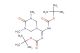 tert-butyl (((tert-butoxycarbonyl)imino)(3,5-dimethyl-4-oxo-1,3,5-triazinan-1-yl)methyl)carbamate