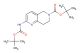 tert-butyl 2-((tert-butoxycarbonyl)amino)-7,8-dihydro-1,6-naphthyridine-6(5H)-carboxylate