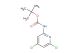 tert-butyl 4,6-dichloropyridin-2-ylcarbamate