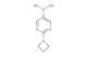 2-(azetidin-1-yl)pyrimidin-5-ylboronic acid
