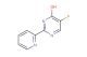 5-fluoro-2-pyridin-2-yl-pyrimidin-4-ol