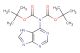 tert-butyl N-[(2-methylpropan-2-yl)oxycarbonyl]-N-(7H-purin-6-yl)carbamate