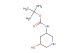 tert-butyl (5-hydroxypiperidin-3-yl)carbamate