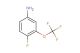 4-fluoro-3-(trifluoromethoxy)aniline