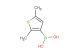 2,5-dimethylthiophene-3-boronic acid
