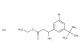 ethyl 3-amino-3-(3-bromo-5-(tert-butyl)phenyl)propanoate hydrochloride