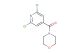 (2,6-dichloropyridin-4-yl)(morpholino)methanone