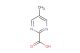 5-methylpyrimidine-2-carboxylic acid