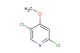 2,5-dichloro-4-methoxypyridine