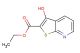 ethyl 3-hydroxythieno[2,3-b]pyridine-2-carboxylate