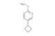 5-cyclobutyl-2-methoxypyridine