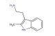 2-(2-methyl-1H-indol-3-yl)ethanamine