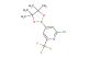 2-chloro-4-(4,4,5,5-tetramethyl-1,3,2-dioxaborolan-2-yl)-6-(trifluoromethyl)pyridine
